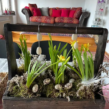 Retro Mozliwosc Wynajecia Calego Budynku *