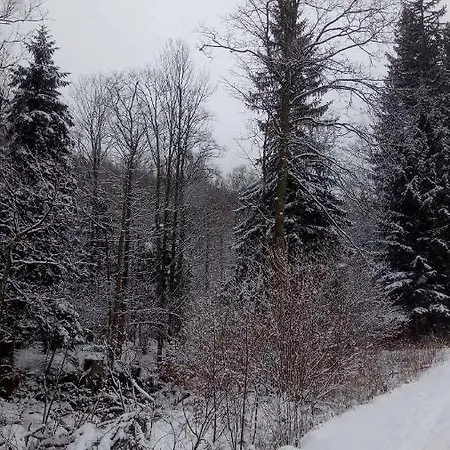 Retro Mozliwosc Wynajecia Calego Budynku Rum i privatbostad Karpacz