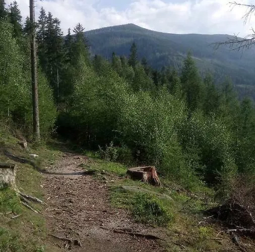 Retro Mozliwosc Wynajecia Calego Budynku * カルパッチ