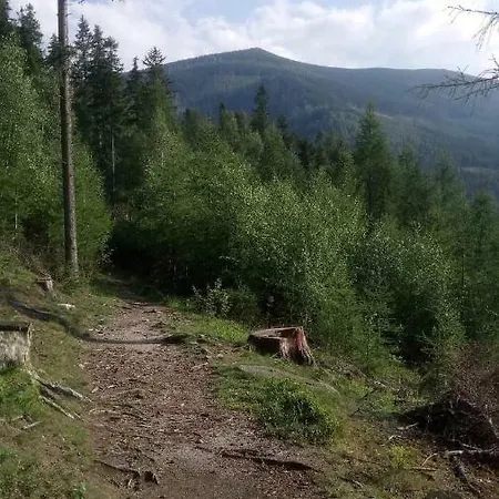 Retro Mozliwosc Wynajecia Calego Budynku * Карпач