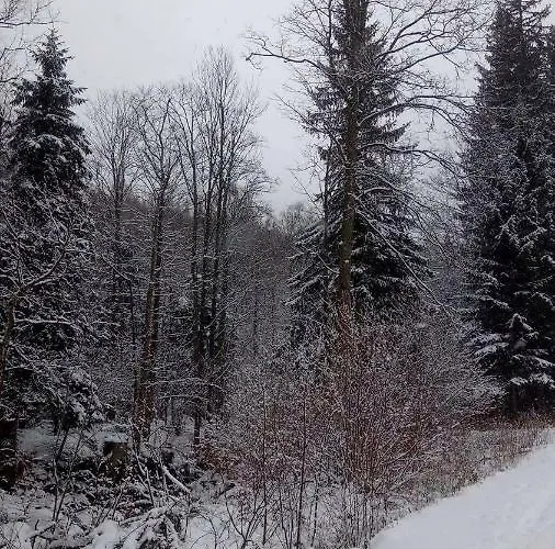 Retro Mozliwosc Wynajecia Calego Budynku Habitación en casa particular Karpacz